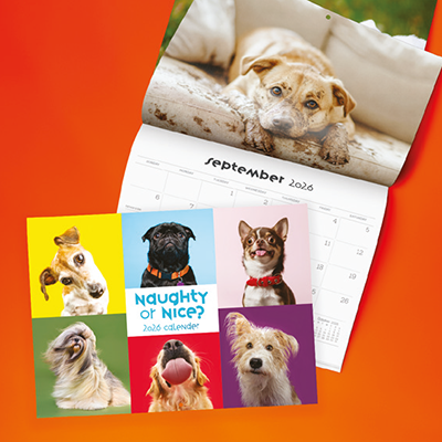 A4 Classic (stapled)